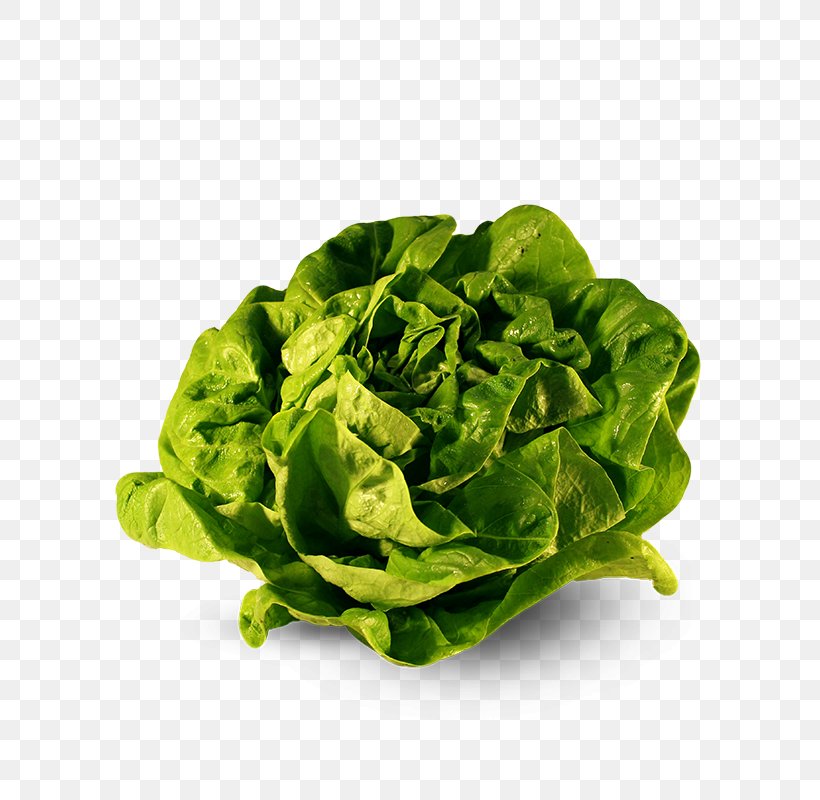 Romaine Lettuce Cruciferous Vegetables Celtuce Collard Greens, PNG, 800x800px, Romaine Lettuce, Body, Celtuce, Chard, Collard Greens Download Free