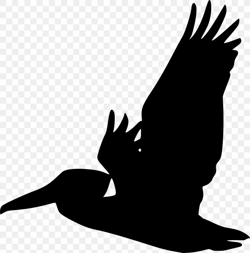 Bird Brown Pelican Silhouette Clip Art, PNG, 2369x2400px, Bird, Beak, Bird Of Prey, Black And White, Brown Pelican Download Free