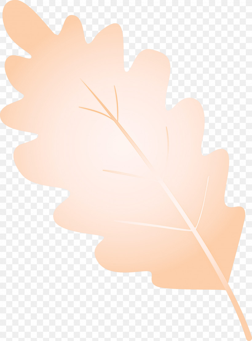 Maple Leaf, PNG, 2216x3000px, Watercolor Leaf, Hand, Leaf, Maple Leaf, Plane Download Free