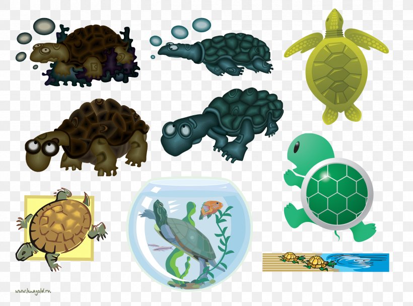 Tortoise Sea Turtle Cartoon, PNG, 2441x1812px, Tortoise, Adaptation, Animal Figure, Animated Cartoon, Animation Download Free