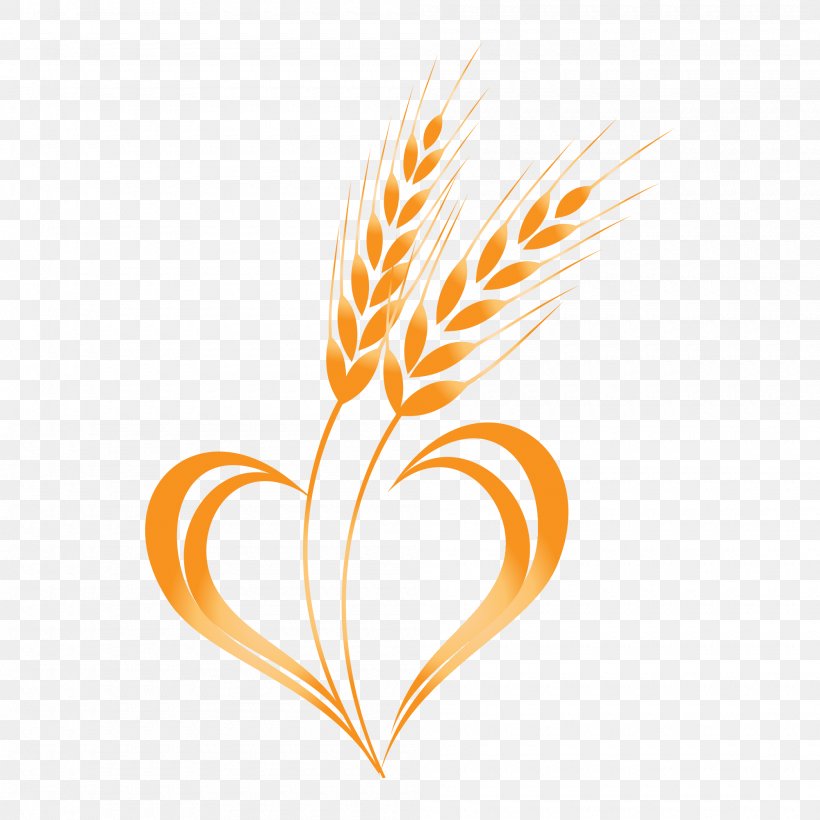 Wheat Clip Art, PNG, 2000x2000px, Freekeh, Cereal, Commodity, Drawing, Ear Download Free