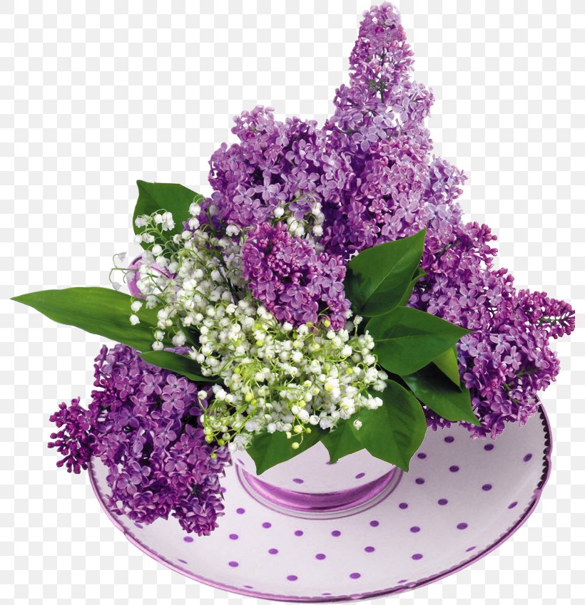 Common Lilac Lily Of The Valley Flower Garden, PNG, 793x849px, Common Lilac, Annual Plant, Cut Flowers, Floral Design, Flower Download Free