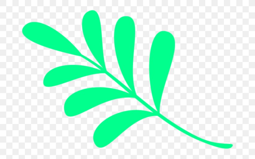 Leaf Green Plant Stem H&M Clip Art, PNG, 744x513px, Leaf, Grass, Green, Hand, Organism Download Free
