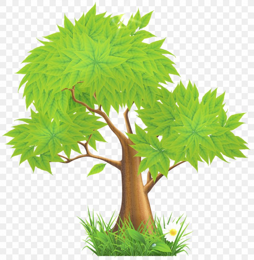 Tree Clip Art, PNG, 1564x1600px, Tree, Aquarium Decor, Arecaceae, Branch, Conifer Cone Download Free