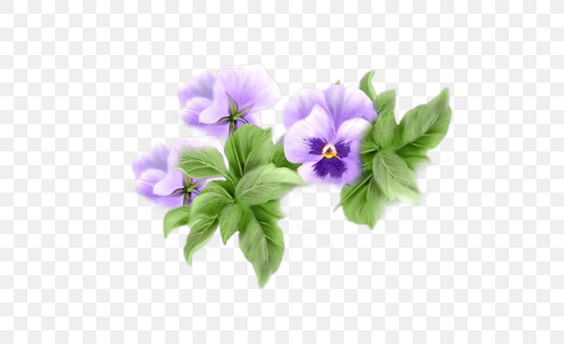 Animation Tenor Giphy, PNG, 500x500px, Animation, Blog, Flower, Flowering Plant, Giphy Download Free