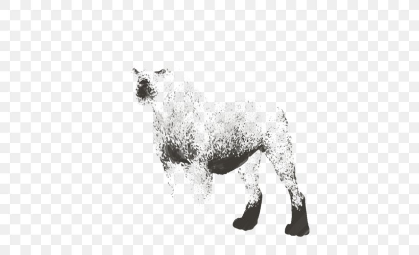 Dog Breed Sheep, PNG, 640x500px, Dog Breed, Black And White, Breed, Carnivoran, Cow Goat Family Download Free