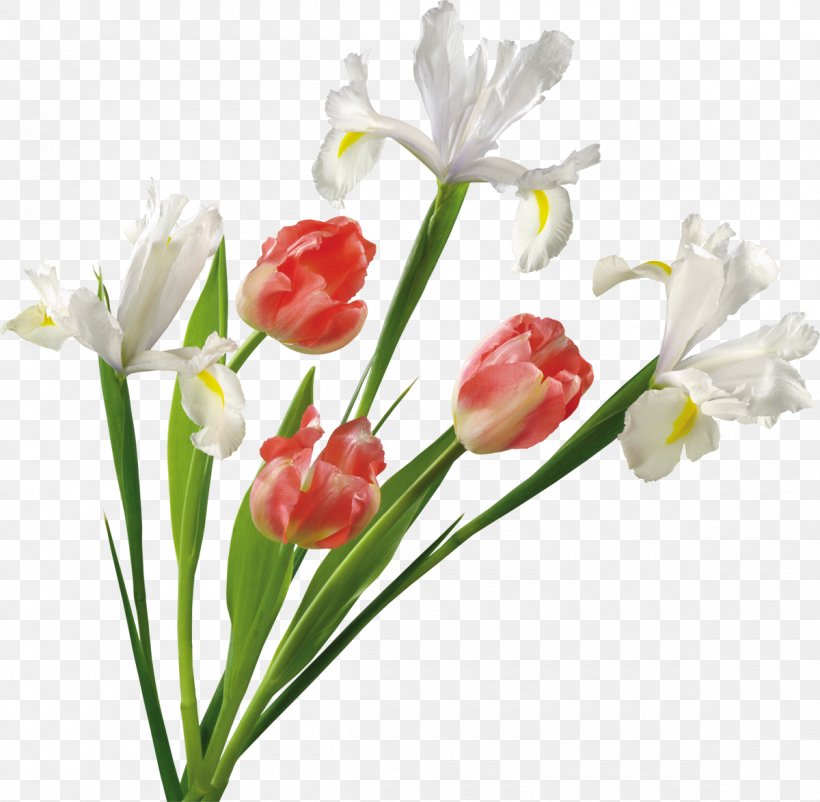 Flower Tulip Clip Art, PNG, 1200x1174px, Flower, Bud, Cut Flowers, Digital Image, Floral Design Download Free