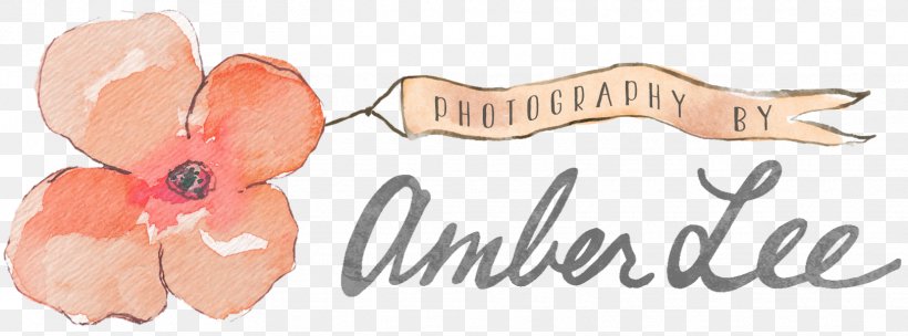 Photography By Amber Lee Photographer Fine-art Photography Infant, PNG, 1623x602px, Watercolor, Cartoon, Flower, Frame, Heart Download Free