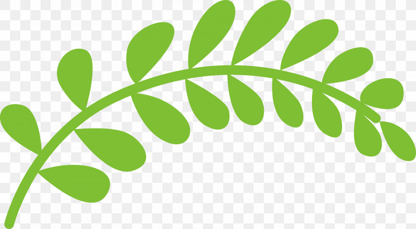 Plant Stem Leaf Green Line Meter, PNG, 3162x1740px, Plant Stem, Biology, Green, Leaf, Line Download Free