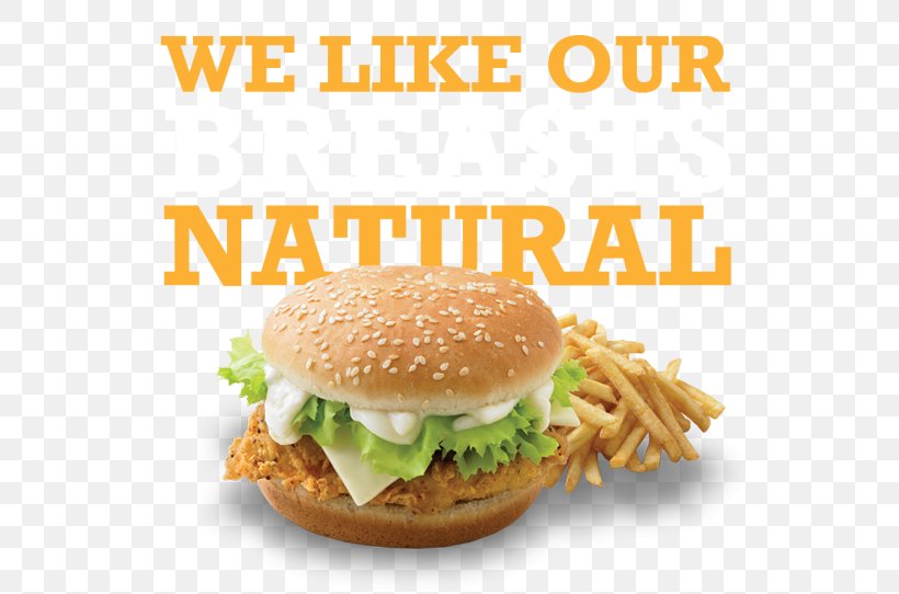 Salmon Burger Cheeseburger Fast Food, PNG, 683x542px, Salmon Burger, American Food, Art, Big Mac, Breakfast Sandwich Download Free