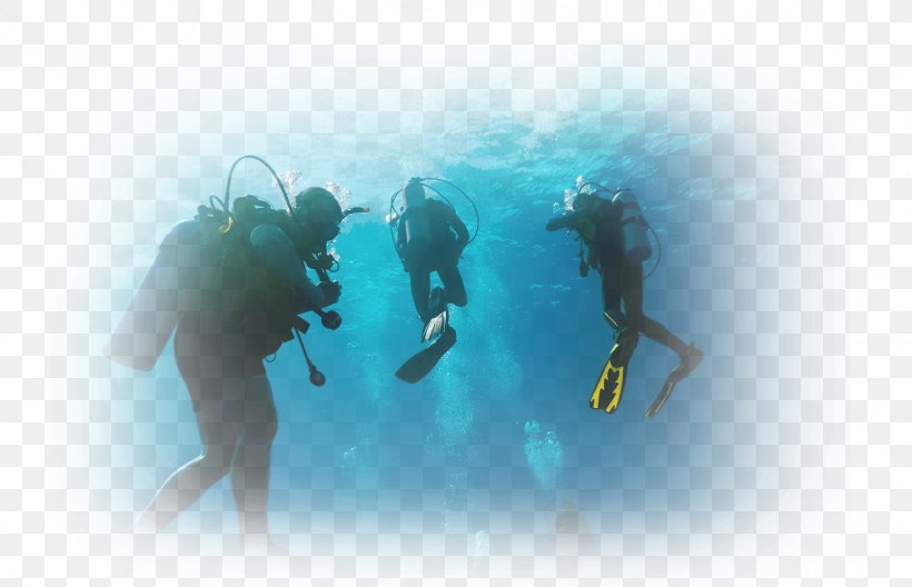 Scuba Diving Marsa Alam Hurghada Dry Suit Underwater Diving, PNG, 1552x1000px, Scuba Diving, Advanced Open Water Diver, Aqua, Aquanaut, Divemaster Download Free