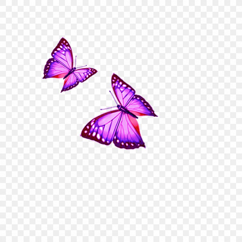 Cartoon Download, PNG, 1000x1000px, 3d Computer Graphics, Cartoon, Animation, Brush Footed Butterfly, Butterfly Download Free