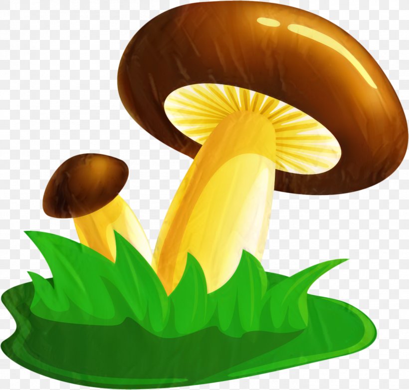 Clip Art Flower Mushroom, PNG, 1387x1324px, Flower, Agaricomycetes, Botany, Edible Mushroom, Fungus Download Free