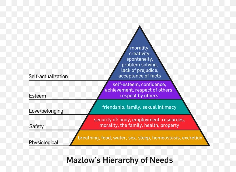 Maslow's Hierarchy Of Needs Motivation Person, PNG, 800x600px, Need, Abraham Maslow, Area, Basic Needs, Behavior Download Free