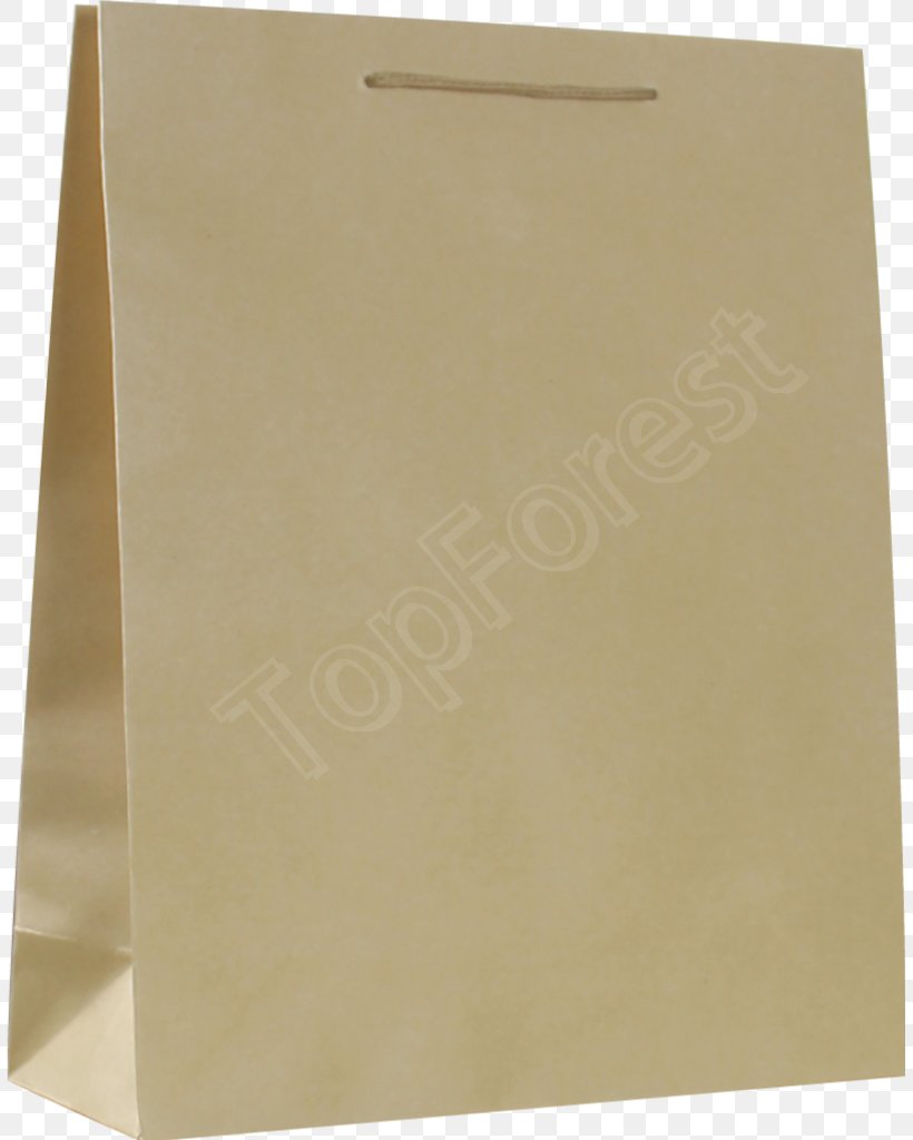 Paper Bag Kraft Paper Printing Shopping Bags & Trolleys, PNG, 807x1024px, Paper, Bag, Douglas X3 Stiletto, Kraft Paper, Logo Download Free