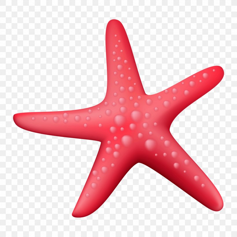 Starfish Sunglasses, PNG, 1500x1500px, Starfish, Cartoon, Echinoderm, Glasses, Highdefinition Television Download Free