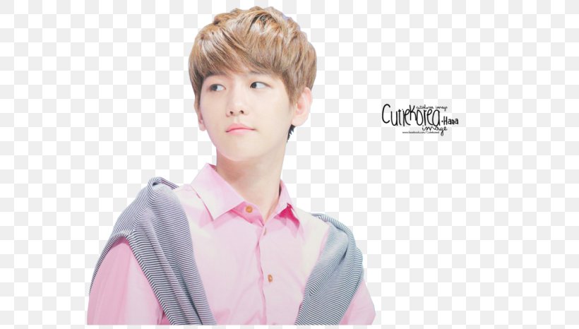 Baekhyun K-pop EXO XOXO Chanyeol, PNG, 700x466px, Watercolor, Cartoon, Flower, Frame, Heart Download Free