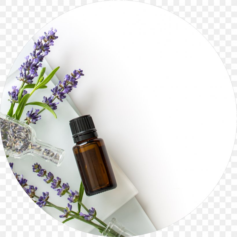 Essential Oil Lavender Oil DoTerra, PNG, 1988x1988px, Essential Oil, Aroma Compound, Aromatherapy, Bottle, Doterra Download Free