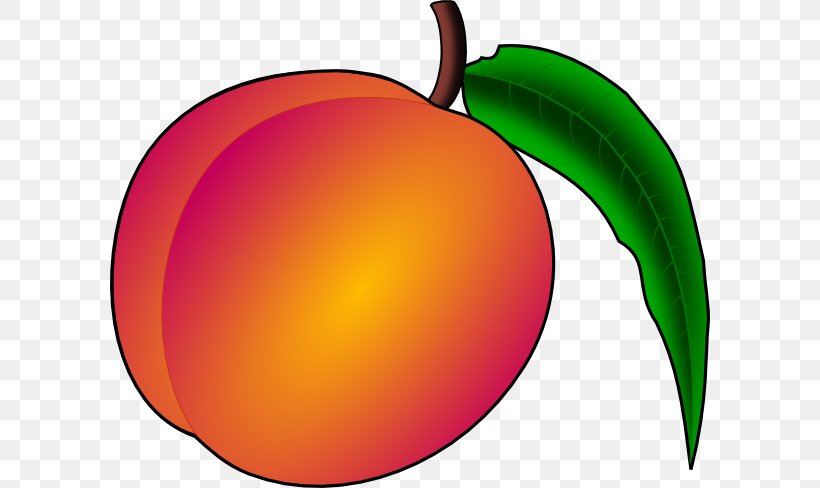Peach Free Content Clip Art, PNG, 600x488px, Peach, Apple, Drawing, Flowering Plant, Food Download Free