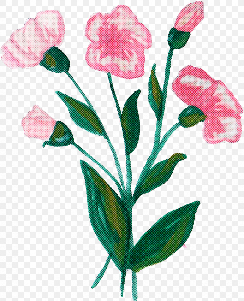 Flower Plant Pink Pedicel Cut Flowers, PNG, 830x1023px, Flower, Cut Flowers, Pedicel, Petal, Pink Download Free