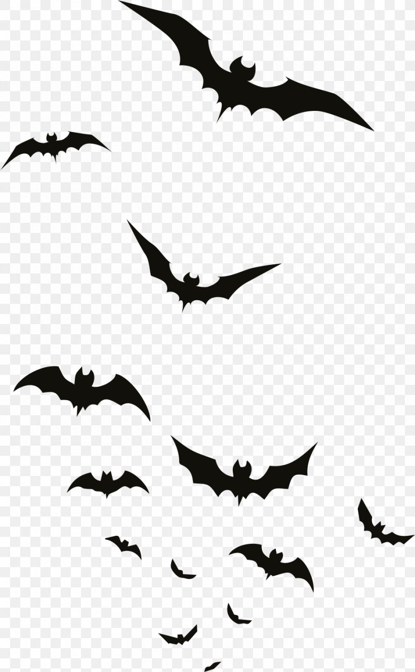 Halloween Ghost Cartoon, PNG, 936x1515px, Sound, Animal Migration, Bat, Bird, Bird Migration Download Free