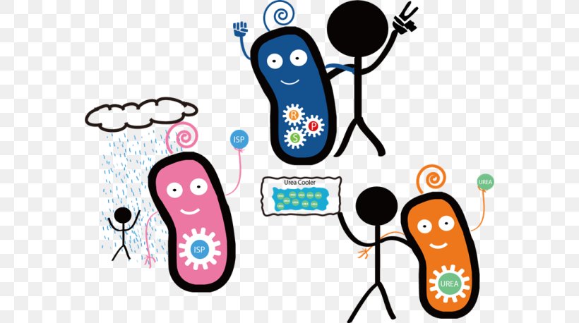 International Genetically Engineered Machine E. Coli Bacteria Clip Art, PNG, 580x458px, E Coli, Area, Artwork, Bacteria, Cartoon Download Free