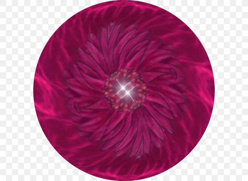 Magenta Circle, PNG, 600x600px, Magenta, Flower, Petal, Pink Download Free