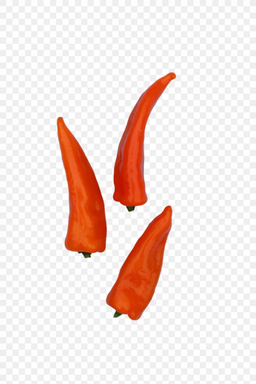 Peppers Peperoncino Cayenne Pepper Bell Pepper, PNG, 1200x1800px, Peppers, Bell Pepper, Cayenne Pepper, Peperoncino Download Free