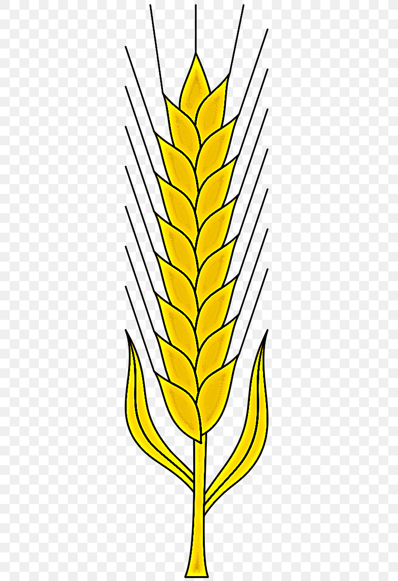 Wheat, PNG, 680x1199px, Yellow, Elymus Repens, Food Grain, Grass Family, Leaf Download Free