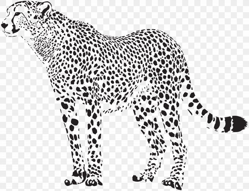 Cheetah Felidae Leopard Clip Art, PNG, 8000x6118px, Cheetah, Animal Figure, Area, Big Cats, Black And White Download Free