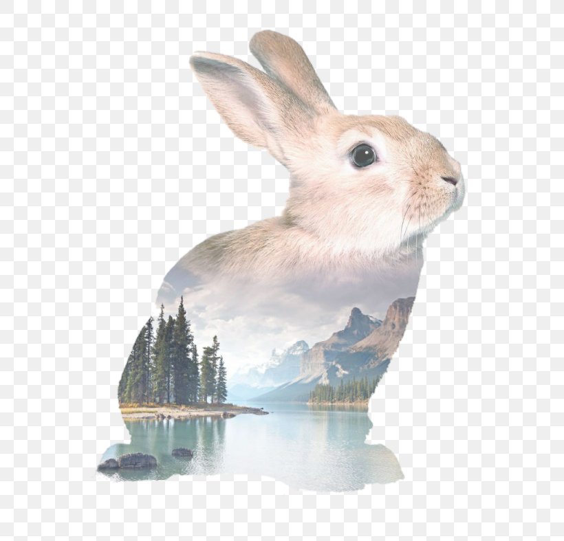 Easter Bunny Rabbit Holland Lop Watercolor Painting Drawing, PNG, 700x787px, Easter Bunny, Animal, Art, Cuteness, Domestic Rabbit Download Free