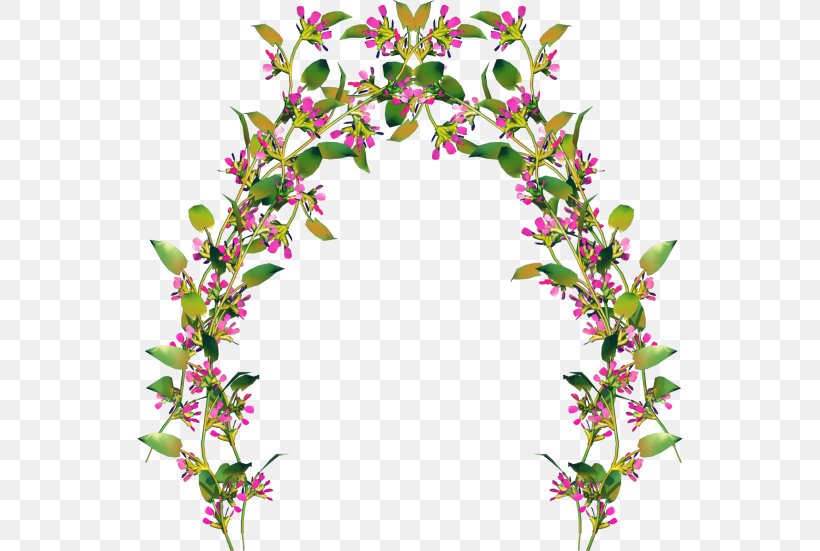 Floral Design Centerblog Cut Flowers, PNG, 546x551px, Floral Design, Blog, Blossom, Branch, Centerblog Download Free