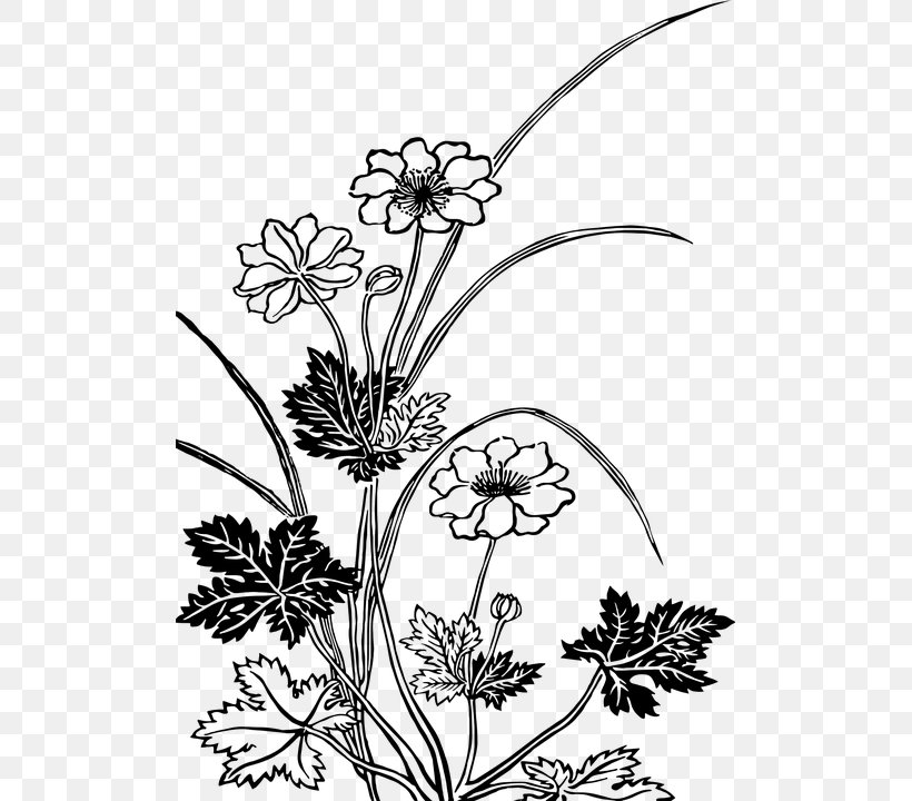 Floral Design Flower Drawing Clip Art, PNG, 503x720px, Floral Design, Art, Black And White, Branch, Color Download Free