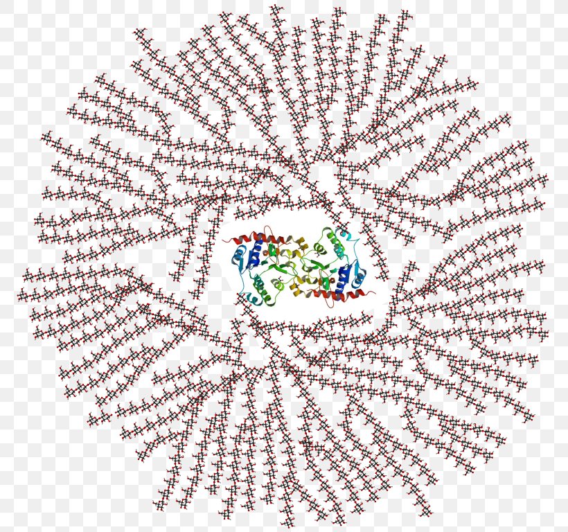 Glycogenesis Glycogenolysis Glycogen Phosphorylase Polysaccharide, PNG, 777x768px, Glycogen, Area, Art, Biochemistry, Carbohydrate Download Free