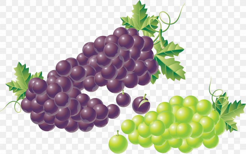 Kyoho Juice Grape Fruit, PNG, 5605x3518px, Kyoho, Berry, Cartoon, Food, Fruit Download Free