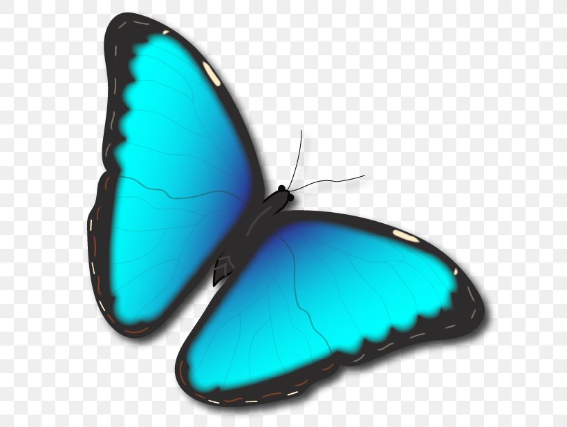 Product Design Turquoise M. Butterfly, PNG, 618x618px, Turquoise, Butterfly, Insect, Invertebrate, M Butterfly Download Free