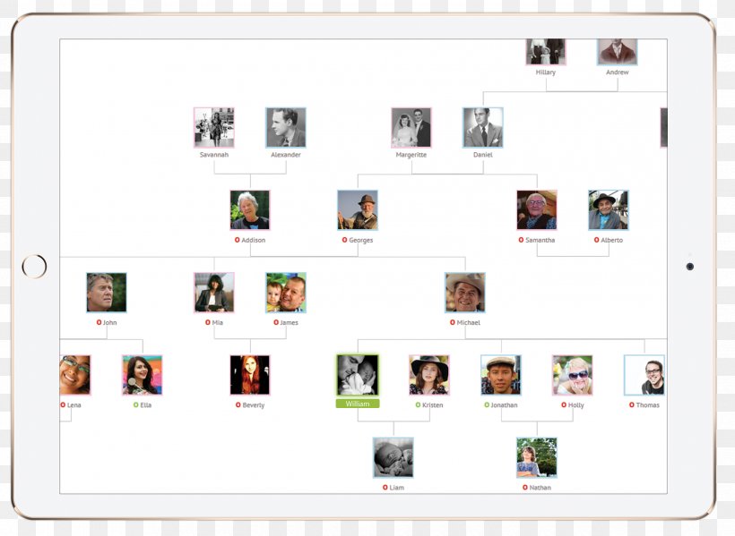 Screenshot Family Tree App Store Trade, PNG, 2480x1814px, Screenshot, Ancestor, App Store, Apple, Brand Download Free