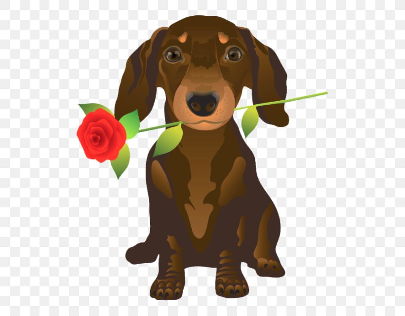 Dachshund Puppy German Shepherd Pet Sitting Valentine's Day, PNG, 640x640px, Dachshund, Carnivoran, Companion Dog, Dog, Dog Breed Download Free