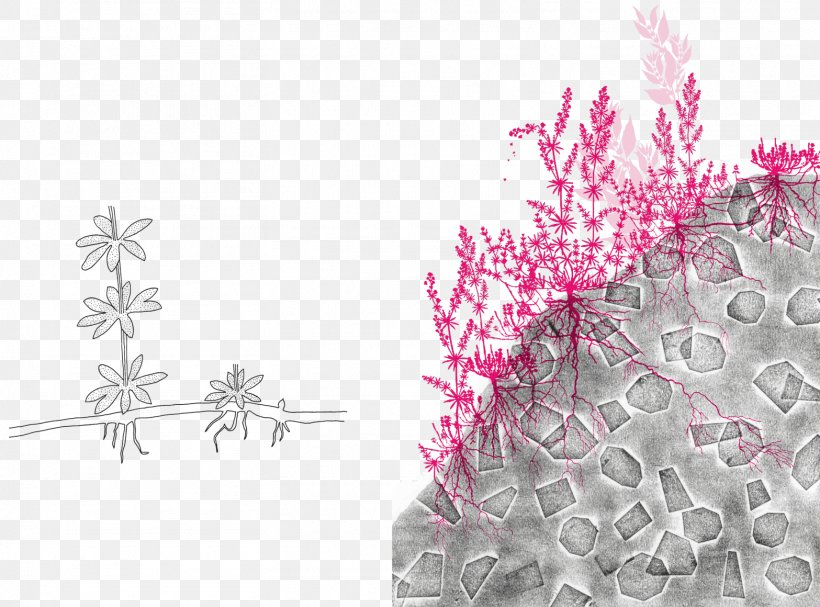 Floral Design Desktop Wallpaper Petal Pattern, PNG, 1567x1160px, Floral Design, Branch, Computer, Flora, Flower Download Free