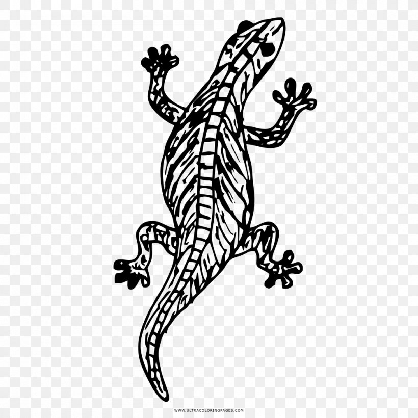 Lizard Drawing Coloring Book Reptile, PNG, 1000x1000px, Lizard, Amphibian, Art, Ausmalbild, Black And White Download Free