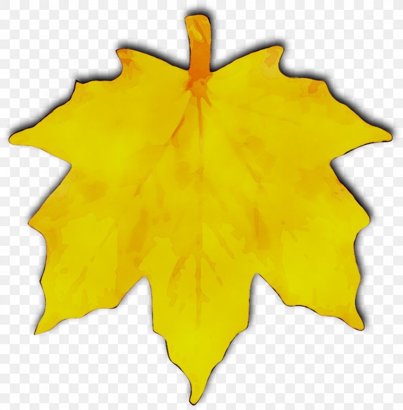 Maple Leaf Clip Art Yellow Symmetry, PNG, 998x1016px, Maple Leaf, Black Maple, Chinese New Year, Flower, Leaf Download Free