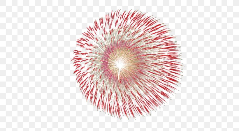 Adobe Fireworks Icon, PNG, 600x450px, Fireworks, Adobe Fireworks, Chinese New Year, Firecracker, Lantern Festival Download Free