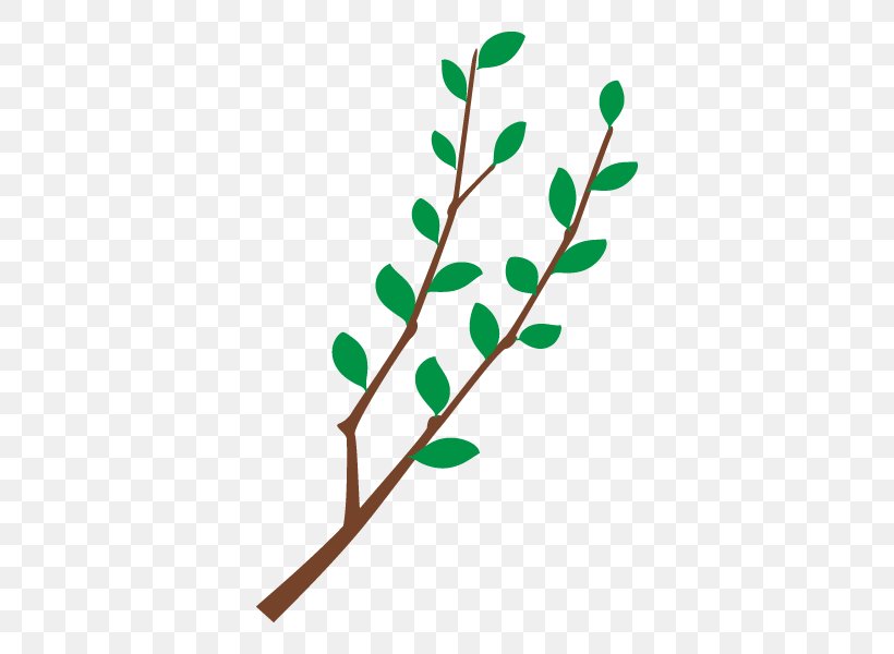 Branch Twig Illustration Tree Plants, PNG, 600x600px, Branch, Flora, Leaf, Pictogram, Plant Download Free