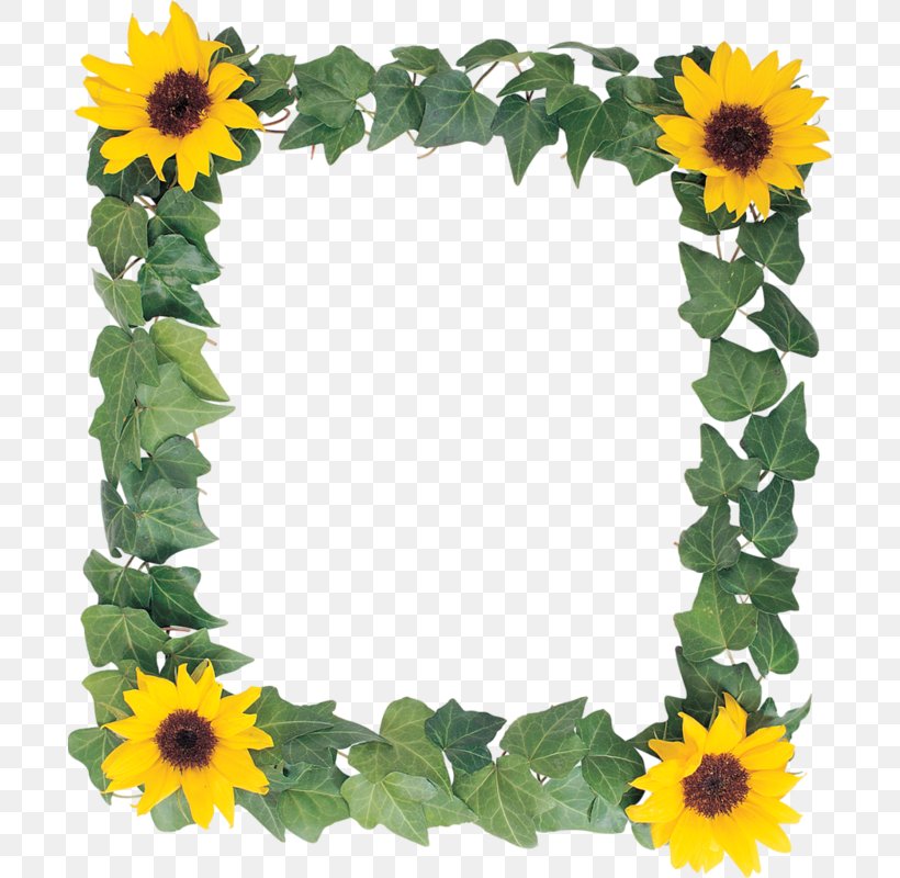 Common Sunflower Picture Frame Clip Art, PNG, 696x800px, Common Sunflower, Annual Plant, Cut Flowers, Daisy Family, Floral Design Download Free