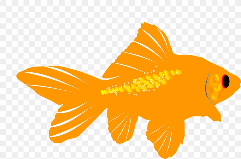 Goldfish Aquarium Clip Art, PNG, 1280x848px, Goldfish, Aquarium, Bony Fish, Fin, Fish Download Free