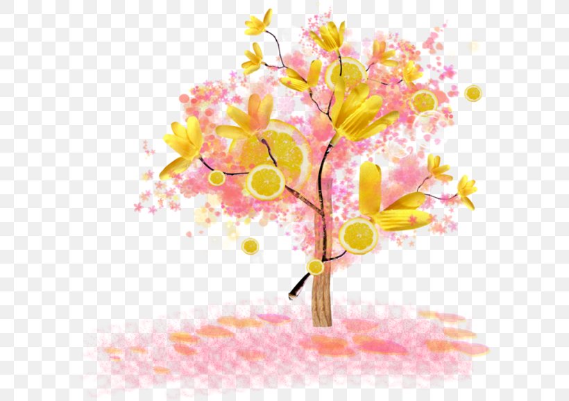 Tree Branch Remetente Email, PNG, 600x578px, 2016, Tree, August, Blossom, Branch Download Free