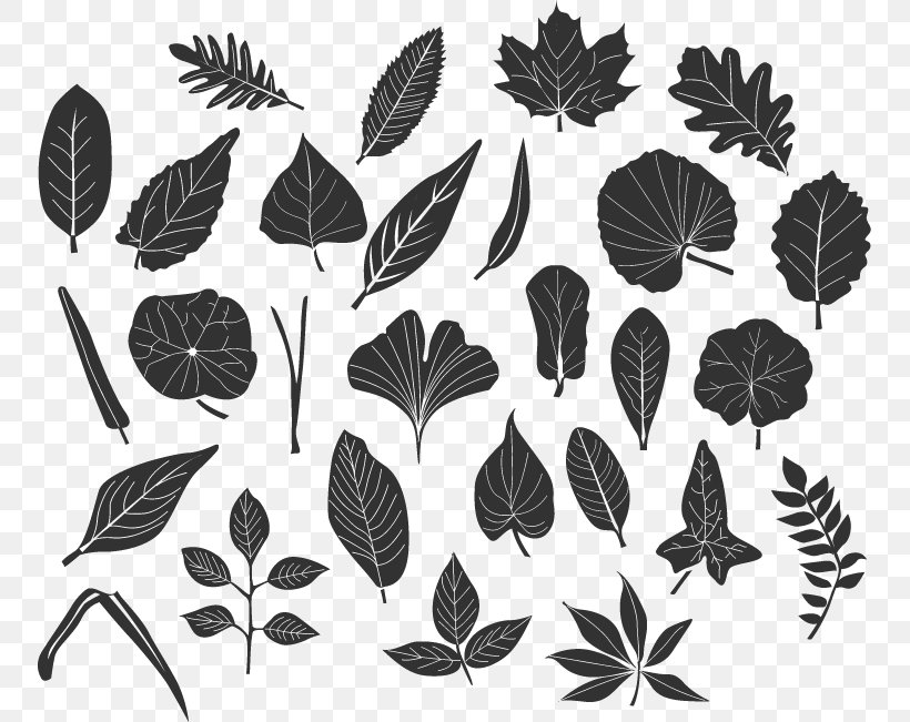 Black And White Leaf, PNG, 751x651px, Black And White, Branch, Drawing, Flora, Flower Download Free