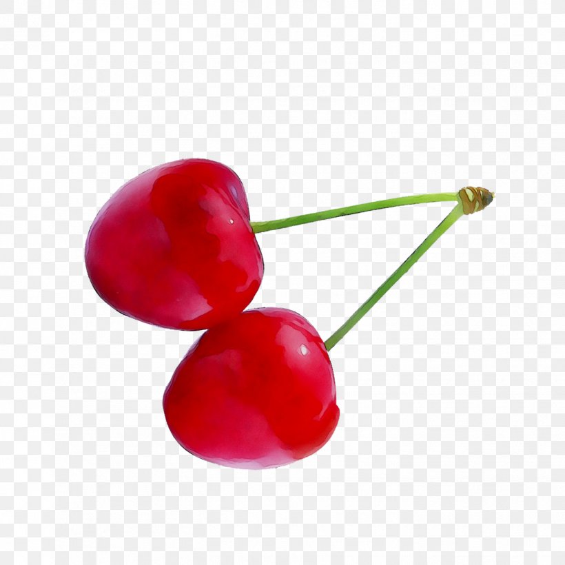 Cherries Body Jewellery Sweet Cherry Human Body, PNG, 1416x1416px, Cherries, Body Jewellery, Cherry, Flower, Food Download Free