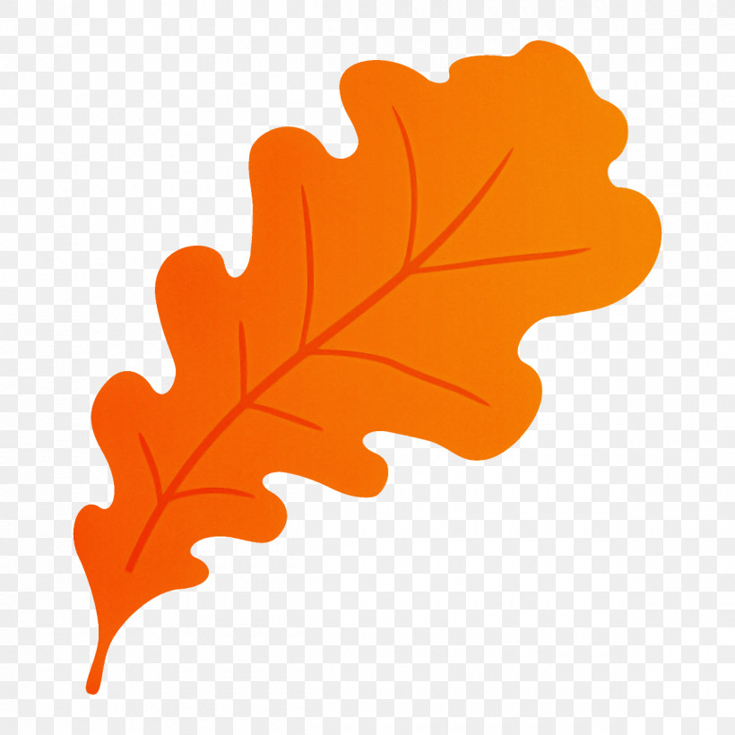 Maple Leaf, PNG, 1200x1200px, Leaf, Black Maple, Maple Leaf, Orange, Plane Download Free
