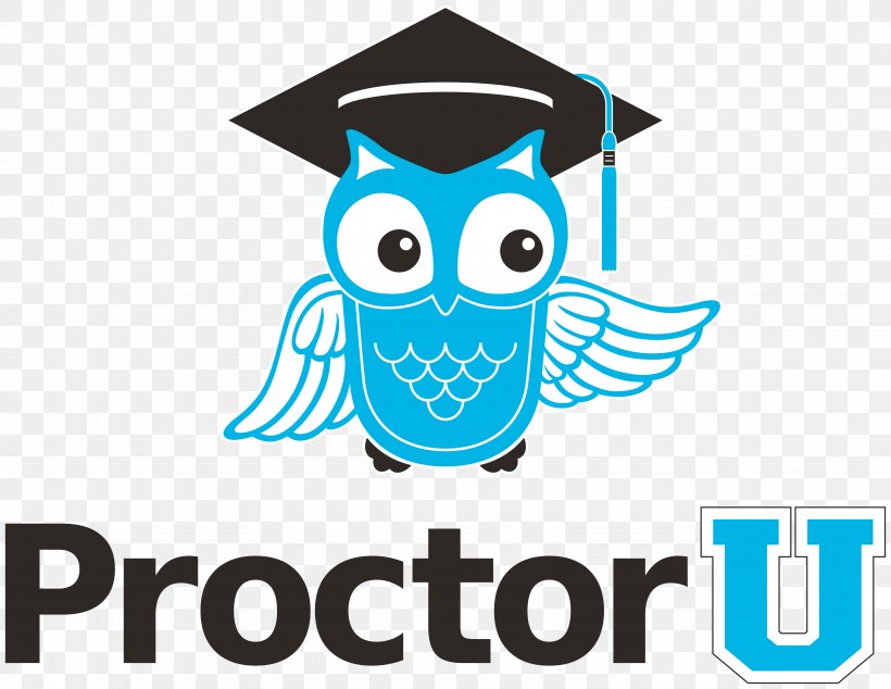 Proctor Test Organization Student College, PNG, 6325x4892px, Proctor, Artwork, Beak, Bird, Bird Of Prey Download Free